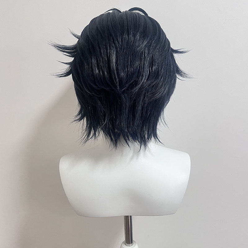 【スタイリング済みウィッグ】朝巴春馬 コスプレウィッグ ZZ - Anime Cosplay Wig のレビューと価格